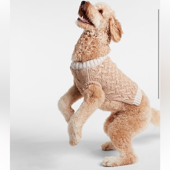 Express Cable Knit Dog Sweater - Picture 2 of 8